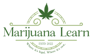 marijuana learn logo idea 2.2
