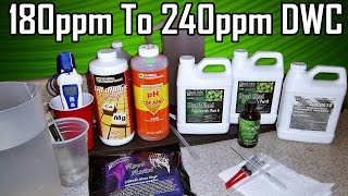 How To Properly Increase PPM In DWC Hydroponics By Skunk Labs ...