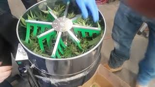 Cannabis Trimming Machine - Marijuana Learn