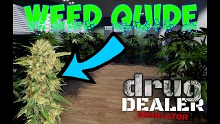 In Depth Guide To Weed (Drug Dealer Simulator Gameplay) - Marijuana Learn