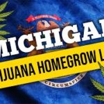 Michigan's Marijuana Laws for Home Cultivation and Medical Use in 2021