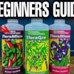 How To Mix Hydroponic Nutrients For Beginners
