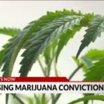 RI to erase many marijuana possession convictions within next 3 months