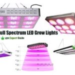How To Choose The Best LED Grow Light For Growing Weed (Cannabis) At Home