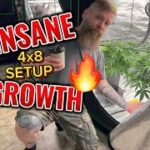 INSANE GROWTH in a 4X8 Grow tent setup!!!