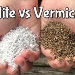 Perlite vs Vermiculite -Which to Use and When!