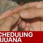 What marijuana reclassification means in Georgia | FOX 5 News