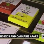 CannaBiz: New Mexico Poison Center, dispensaries prepare for childproofing recreational marijuana