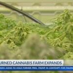 New Mexico Dairy turned Cannabis farm quickly expands