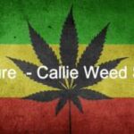 Culture – Callie Weed Song