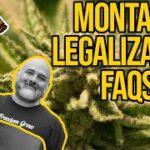 How to Get a Cannabis Business License in Montana | Montana Dispensary | Montana Marijuana Laws